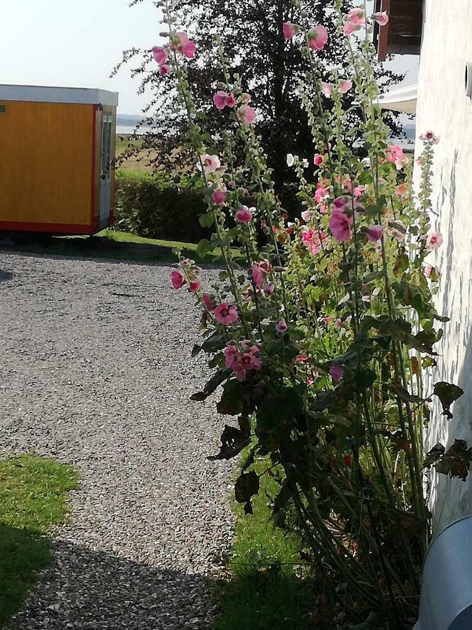 Guesthouse Gjoel Gjøl Kültér fotó